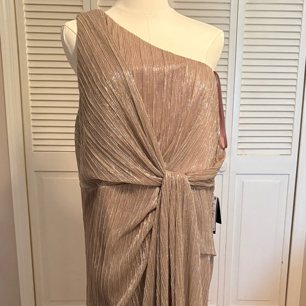 Adrianna Papell Evening Dress, NWT,  Size 16